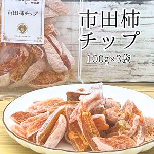 市田柿 柿チップ（100g×3袋）ひとくちサイズ