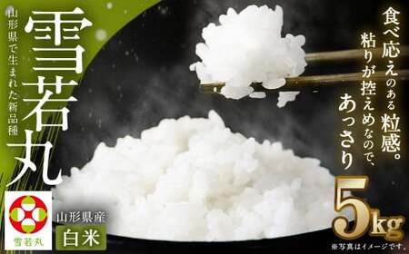 【令和7年産】〈白米〉 雪若丸 5kg ＜1回のお届け＞  山形県産 精米 【2025年11月上旬発送開始予定】