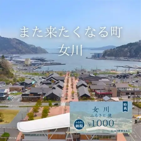 「女川ふるさと便」1000円分×12枚【1674173】