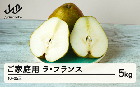 《先行予約》ラ・フランス ご家庭用 5kg 令和8年産 2026年産 西洋梨 山形県産 果物 送料無料 ※沖縄・離島への配送不可 ns-laxxw5