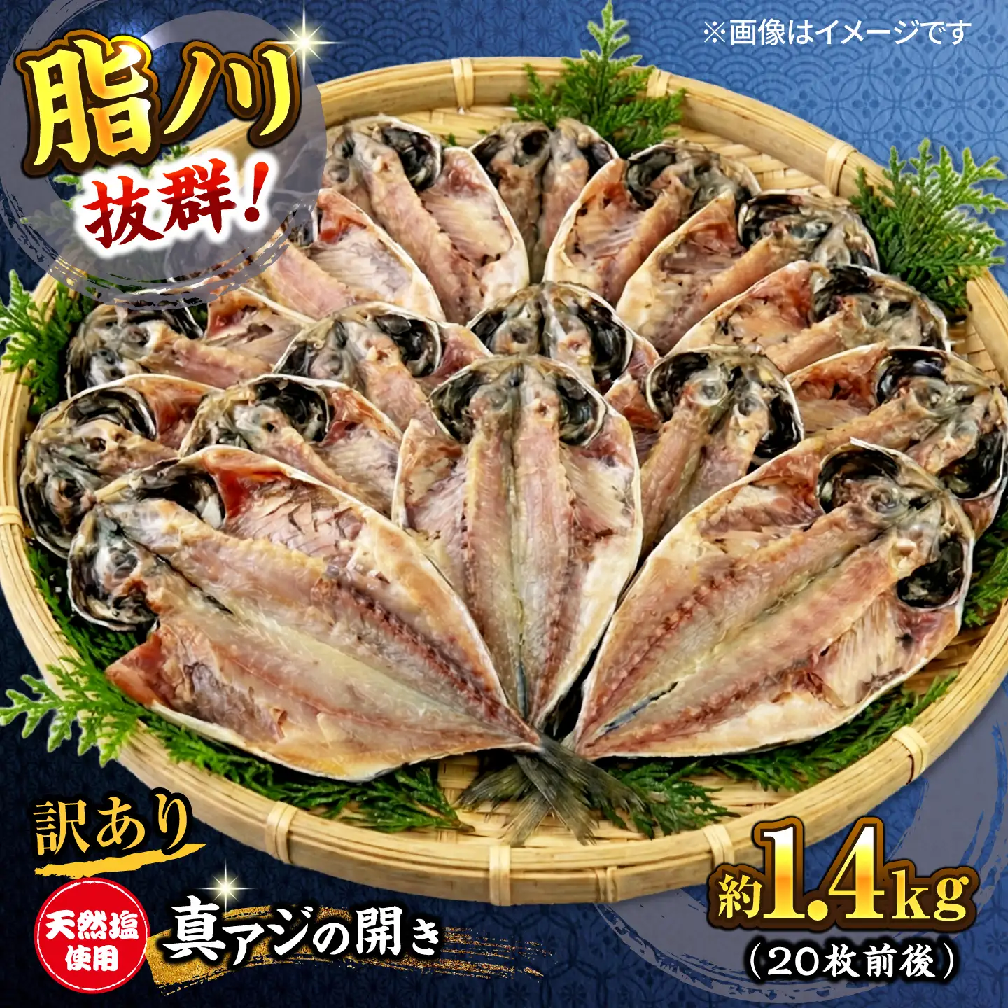 訳あり 干物 真アジの干物 1.4kg（20枚前後） [AKCX013]