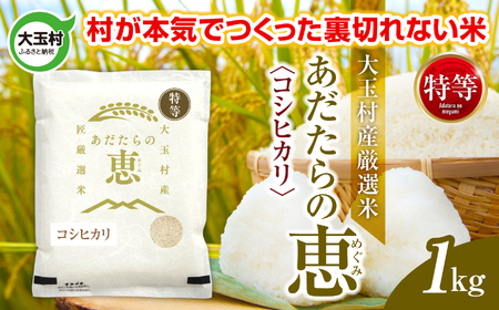 あだたらの恵 特等（品種：コシヒカリ） 1kg 《 令和7年産  》