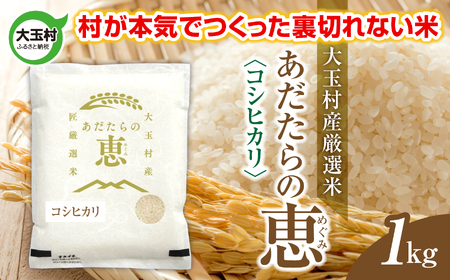 米 大玉村産厳選米「あだたらの恵」（品種：コシヒカリ） 1kg 《 令和7年産  》｜ 福島 大玉村 お米 米作り こしひかり 令和7年 精米 白米 こめ コメ ご飯 送料無料 大玉村農業振興公社 ｜ on-ak-1kg-r7