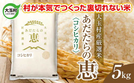 米 大玉村産厳選米「あだたらの恵」（品種：コシヒカリ） 5kg 《 令和7年産  》｜ 福島 大玉村 お米 米作り こしひかり 令和7年 精米 白米 こめ コメ ご飯 送料無料 大玉村農業振興公社 ｜ on-ak-5kg-r7