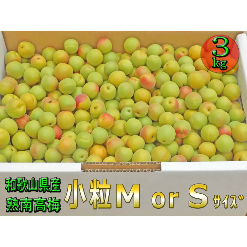 ［梅干・梅酒用］小粒（SまたはM－3Kg）熟南高梅＜2026年6月下旬～7月中旬発送予定＞フルーツ 果物 くだもの 食品 人気 おすすめ 送料無料［ART20］
