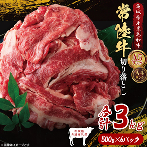 【茨城県共通返礼品】常陸牛切り落とし3kg（500g×6）｜ブランド牛 銘柄牛 和牛 黒毛和牛 国産 A5・A4ランク 等級 お肉 牛肉 牛丼 すき焼き 炒め物 小分け 茨城県 大子町（DD015）