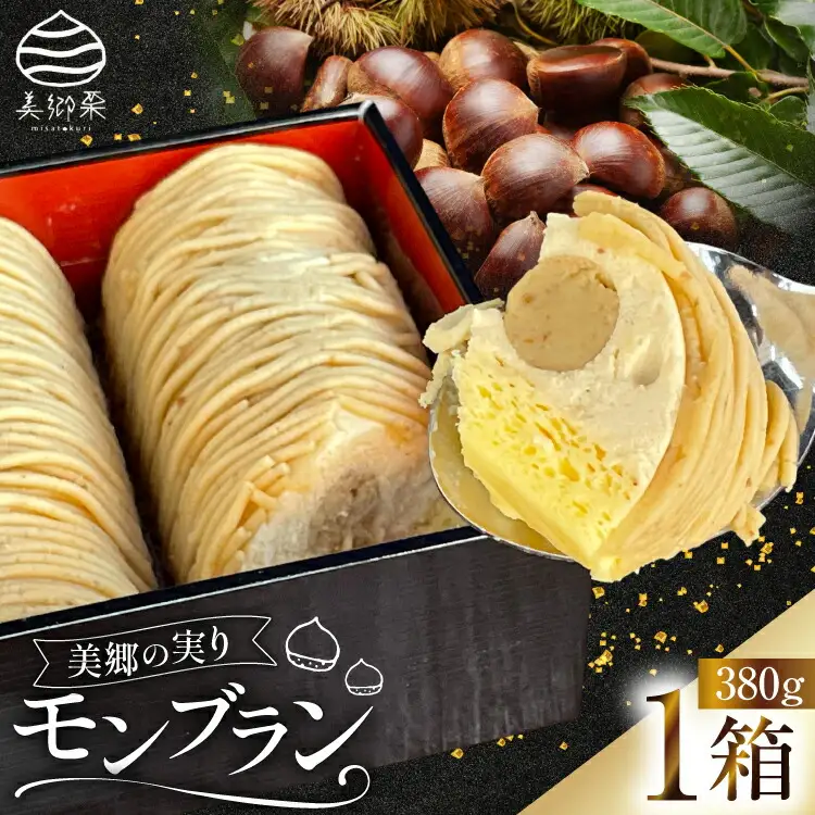 モンブラン ケーキ 美郷の実り 1箱 380g [恵那川上屋 宮崎県 美郷町 31bq0001]