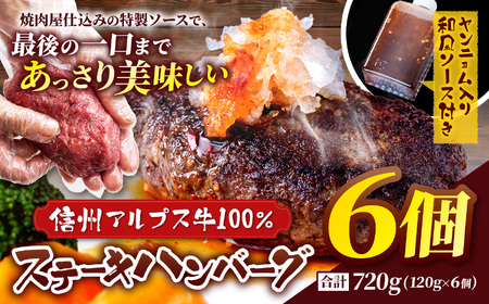 肉の旨み際立つ！信州アルプス牛100％　ステーキハンバーグ　6個入り　合計720g(120g×６個　ヤンニョム入り和風ソース付き)