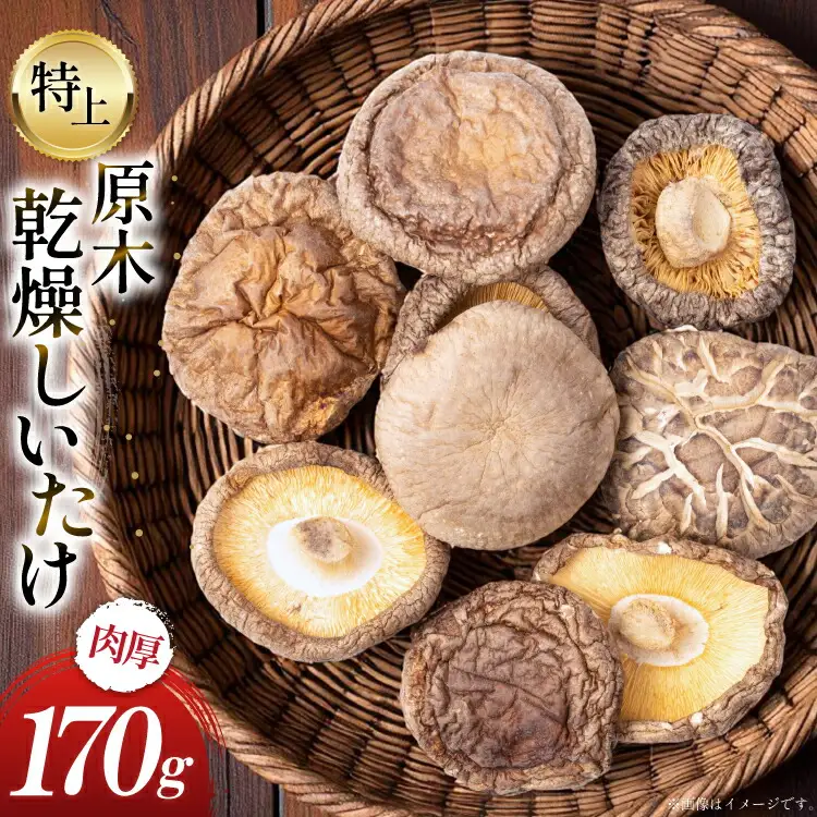 国産 特上 原木 乾燥 しいたけ 肉厚どんこ 170g [浜辺しいたけ 宮崎県 日向市 452061577]
