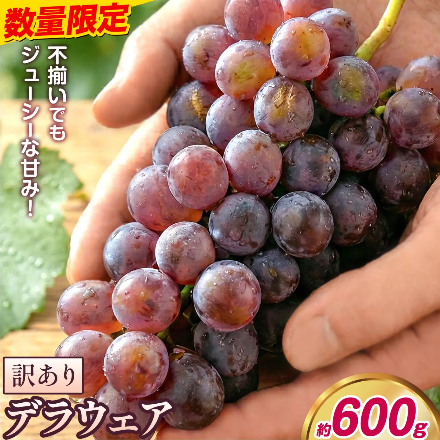 デラウェア ご家庭用デラウェア 約600g