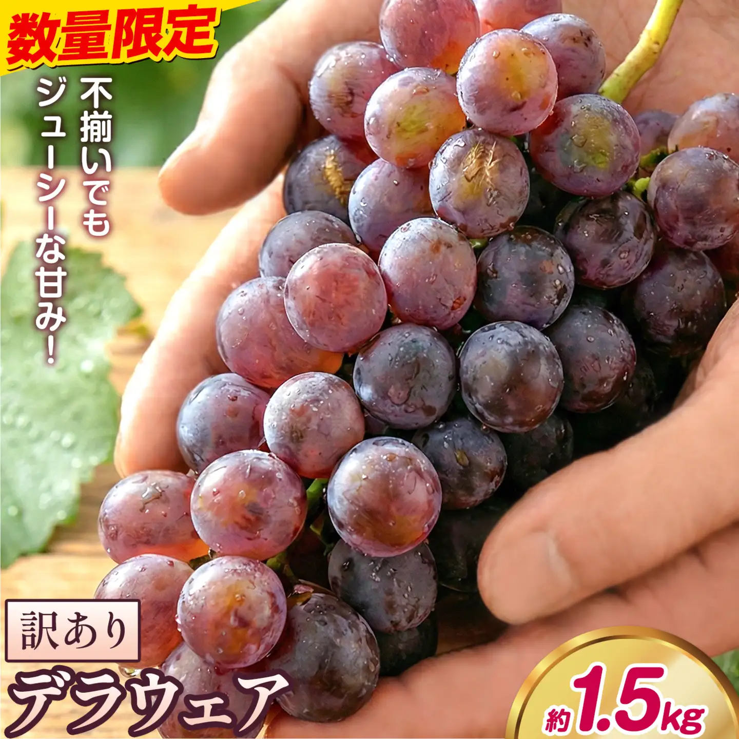 デラウェア ご家庭用デラウェア 約1.5kg