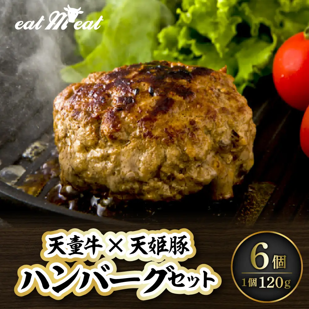 イートミート オリジナル ハンバーグ セット 120g×6個 08-27-010