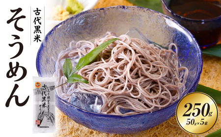 古代黒米そうめん 麺類 そうめん 素麺 麺 特産品 古代米 黒米 黒米そうめん お取り寄せ ご当地 グルメ 宮崎県 高千穂町 _Tk005-108