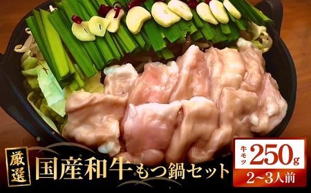 もつ鍋セット（2-3人前）国産 国産牛 牛もつ鍋 もつ鍋 鍋 牛モツ 和牛モツ ホルモン 鍋セット 2-3人前 ご当地グルメ お取り寄せ 宮城県 宮城 石巻市 石巻