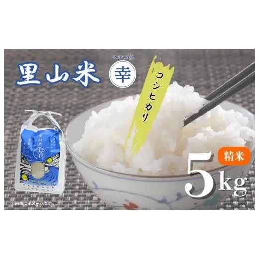 里山米マルコウ　コシヒカリ　5kg　精米 ／ 米 こめ コメ お米 おこめ コシヒカリ こしひかり 令和7年産 白米 精米 ごはん ご飯 5kg 千葉県 匝瑳市 送料無料