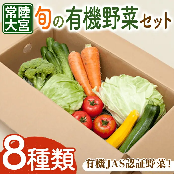 コトコトファーム 旬の有機栽培野菜セット 野菜 セット 有機JAS 詰め合わせ 国産 旬 季節 おまかせ お楽しみ 冷蔵 【コトコトファーム】【ho1602】