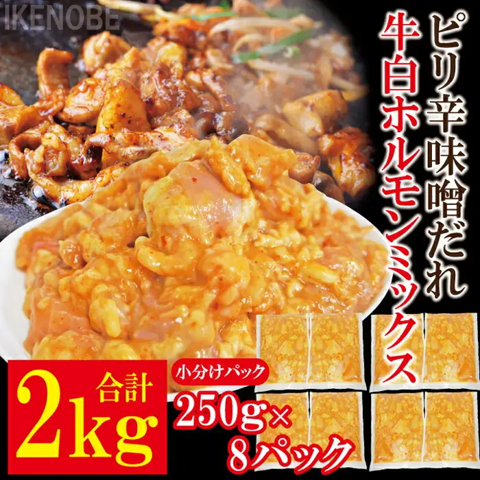 牛白ホルモンミックス ピリ辛味噌だれ 2kg(250g×8パック) 【 ホルモン】【ho1599】
