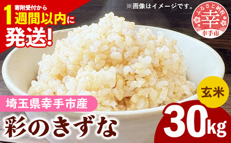 令和7年産【彩のきずな】玄米30kg 色彩選別済 Brown Rice - お米 ごはん