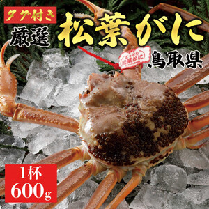 【2026年11月発送】特撰 松葉がに（なま）【ブランドタグ付き】600g超のサイズ  1杯