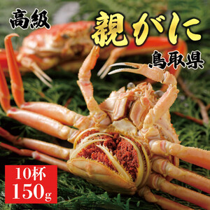【2025年12月発送】鳥取県産 特撰 親がに 姿【セコガニ】（茹）150g 10杯