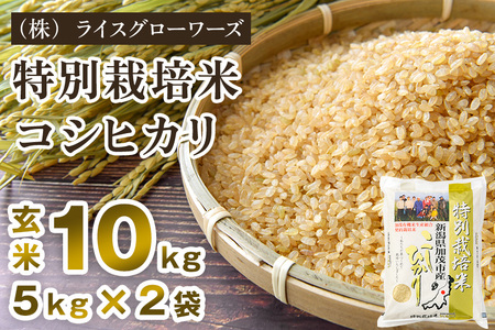 【令和7年産】新潟県加茂市産 特別栽培米コシヒカリ 玄米10kg（5kg×2）《順次出荷》 従来品種コシヒカリ （株）ライスグローワーズ