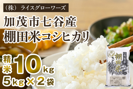 【令和7年産】七谷産 棚田米コシヒカリ 精米10kg（5kg×2）《順次出荷》 白米 （株）ライスグローワーズ