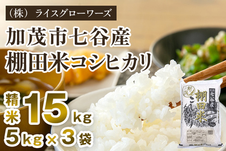【令和7年産】七谷産 棚田米コシヒカリ 精米15kg（5kg×3）《順次出荷》 白米（株）ライスグローワーズ