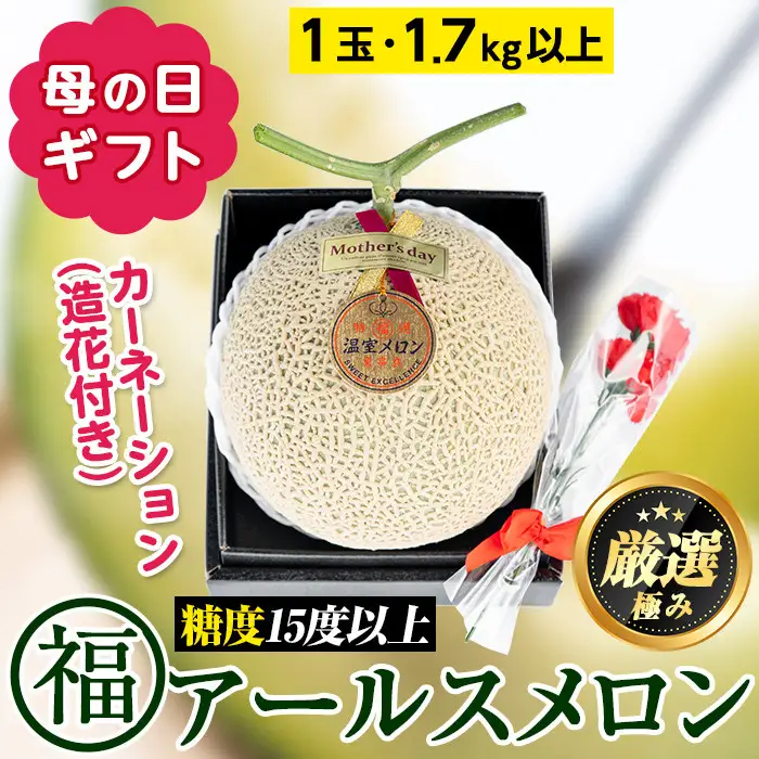 【0151112a-M】＜母の日ギフト・数量限定＞高級アールスメロン(大玉1玉・1.7kg以上、カーネーション(造花)付) メロン フルーツ 果物 果実 1キロ 数量限定 期間限定 贈答 贈り物 母の日【マル福園芸組合】