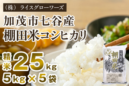 【令和7年産】七谷産 棚田米コシヒカリ 精米25kg（5kg×5）《順次出荷》 白米 （株）ライスグローワーズ