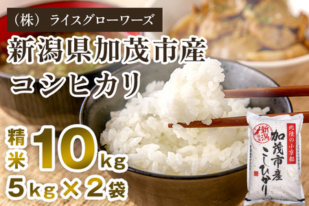 【令和7年産】新潟県 加茂市産コシヒカリ 10kg（5kg×2）《順次出荷》 （株）ライスグローワーズ