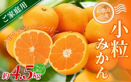 小粒みかん 約4.5kg 【家庭用】 森本農園の手選別 和歌山県産【BV-mrmt061】