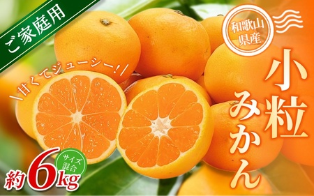 小粒みかん 約6kg 【家庭用】 森本農園の手選別 和歌山県産【BV-mrmt062】