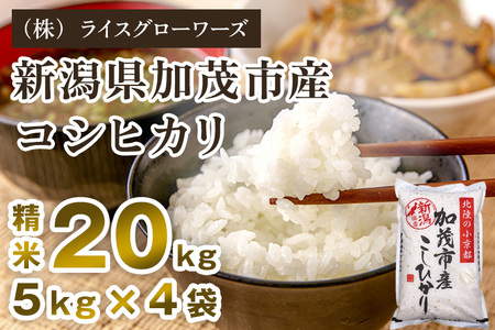【令和7年産】新潟県 加茂市産コシヒカリ 20kg（5kg×4）《順次出荷》 （株）ライスグローワーズ