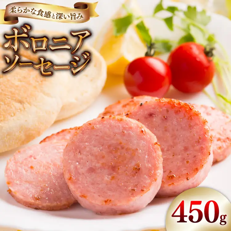 ソーセージ ボロニアソーセージ450g [吉田ハム工場 静岡県 吉田町 22424674] 