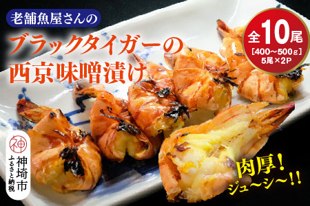 【スピード発送】ブラックタイガーの西京味噌漬け 5尾×2パック(H032140)