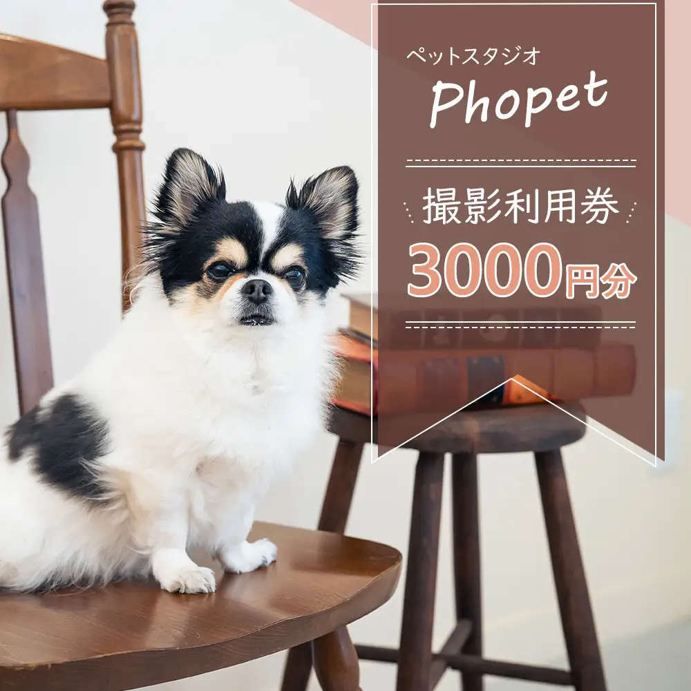 ペットスタジオPhopet 撮影利用券3000円分相当