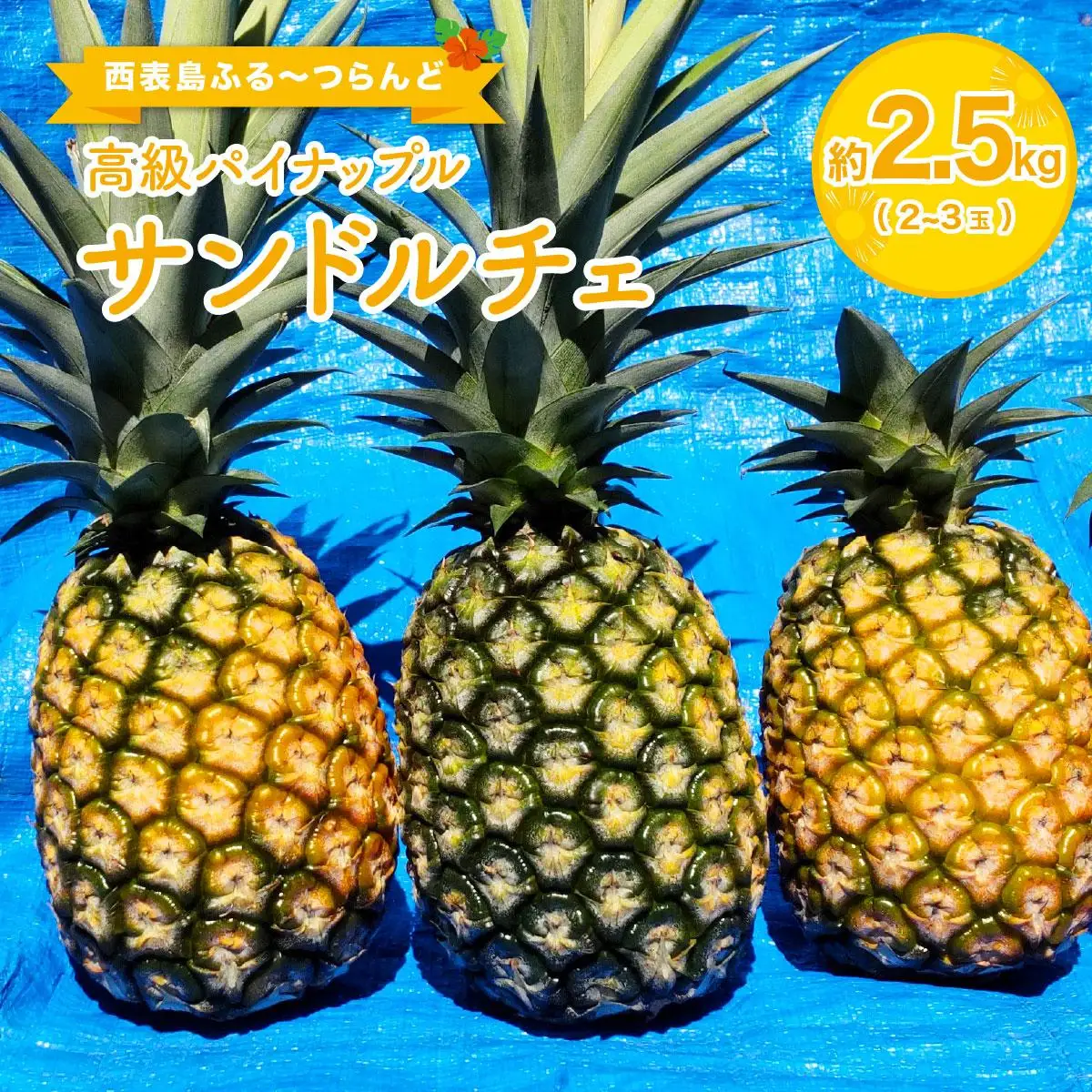 サンドルチェ 約2.5kg（2～3玉）