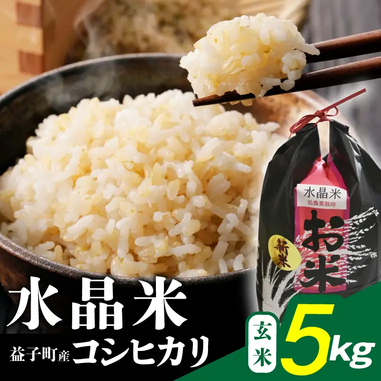 瀬尾糀店 水晶米 コシヒカリ 玄米 5kg 益子町産 AK014