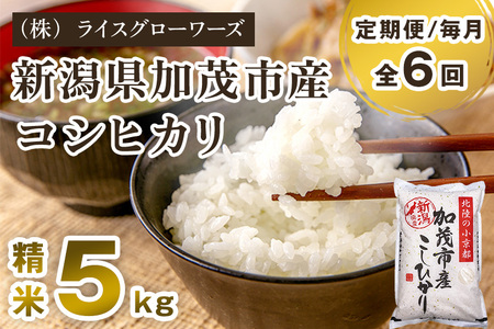 【令和7年産】【定期便6ヶ月毎月お届け】新潟県加茂市産コシヒカリ 精米5kg《順次出荷》 白米 （株）ライスグローワーズ