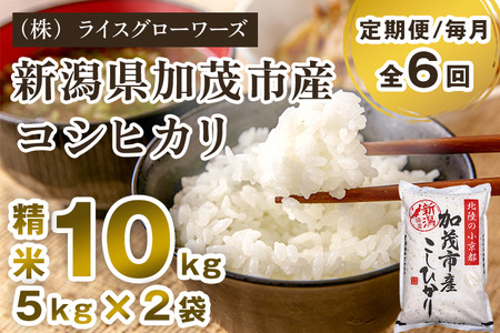【令和7年産】【定期便6ヶ月毎月お届け】新潟県加茂市産コシヒカリ 精米10kg（5kg×2）《順次出荷》 白米 （株）ライスグローワーズ
