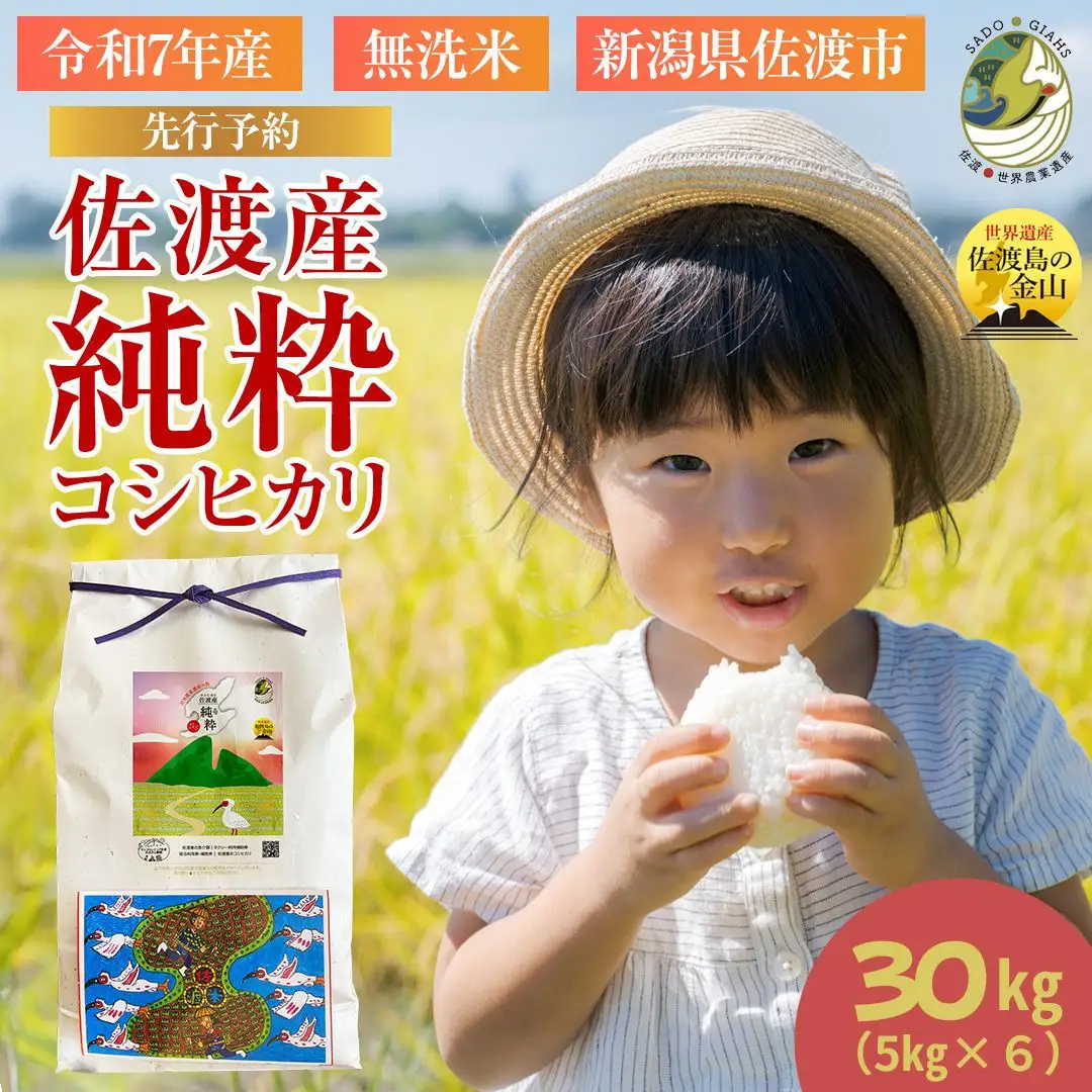 【新潟県佐渡】佐渡産の純粋コシヒカリ30kg＜数量限定＞ 令和７年産 精米【無洗米】5kg×6袋