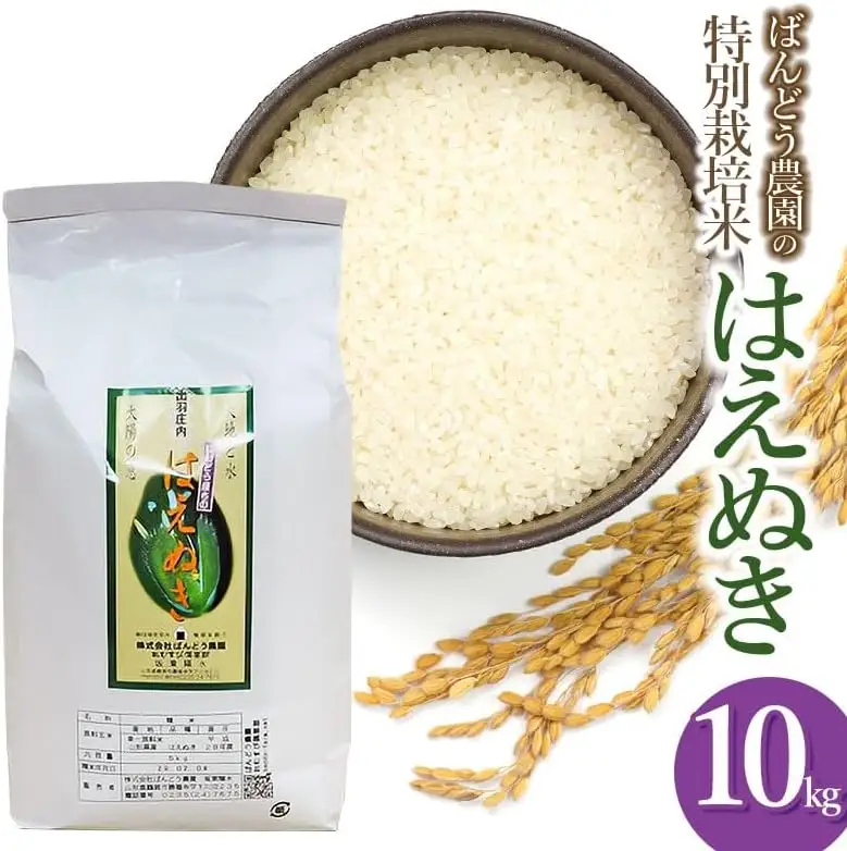 【令和7年産】 ばんどう農園の特別栽培米はえぬき 白米10kg　山形県鶴岡市産　K-777