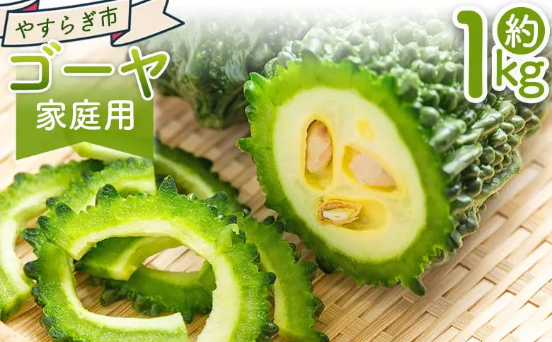【2026年10月以降発送】ゴーヤ 1ｋｇ 家庭用 ゴーヤ yr-0073