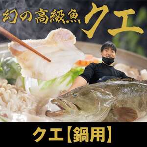 【冷凍】簡単鍋用 天然クエ（600g/2人～3人前）くえ 海鮮鍋 魚介 高級魚 切り身 クエしゃぶ しゃぶしゃぶ クエ鍋 天然 海鮮 魚 下処理済み 真空 グルメ 冷凍 配送 故郷納税 高知県 土佐清水市 送料無料 高知【R01584】