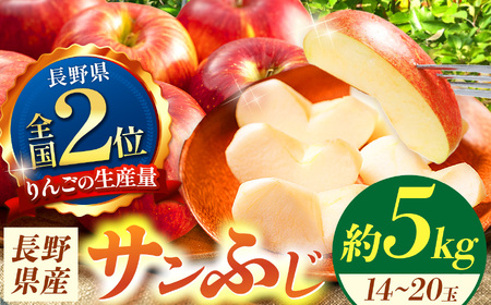 【先行受付】 信州産　サンふじ約5kg (14～20玉)