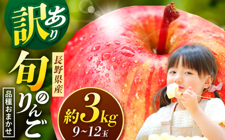 【先行受付】信州産 訳ありりんご【品種おまかせ】約３kg( 8～12玉)　【秋映・シナノスイート・シナノゴールド・名月・サンふじ・グラニースミス・あいかの香り】