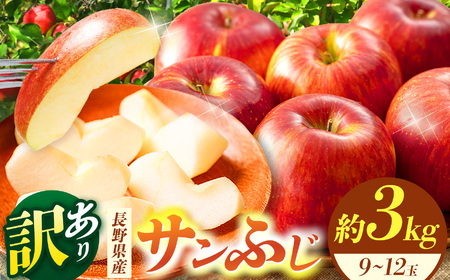 【先行受付】松本市産  訳ありサンふじ 約３kg( 8～12玉) 