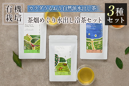 ＜有機栽培＞カラダうるおう自然派水出し茶 茶畑めぐり水出し冷茶 3種セット 国産 日本茶 飲み比べ【B681】