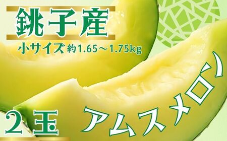 アムスメロン 2玉 メロン