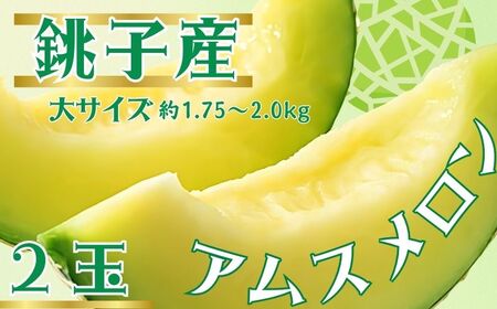 アムスメロン 2玉 メロン